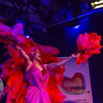 limerick-pride-climax-party-2025-logo-71