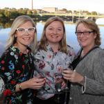 Dr Mary Ryan, Consultant Endocrinologist at the Bons Secours Hospital was guest speaker at Network Ireland Limerick’s event on September 18, 2019 at the Clayton Hotel, Limerick. Dr Ryan encouraged women in business to value themselves more and avoid exhaustion. Picture: Richard Lynch/ilovelimerick