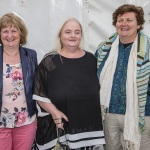 dolf_patijn_Limerick_summer_music_12072019_0090