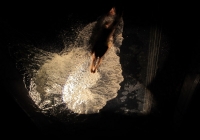 fuerzabruta-036