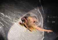 fuerzabruta-037