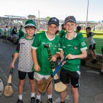 Limerick and Tipperary clashed in the final round of the Munster Senior Hurling Championship and sealed their place in the Munster final on Sunday, May 24, 2026. Picture: Olena Oleksienko/ilovelimerick