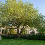 Spring Gathering at Glin Castle—a rare opportunity to experience the beauty and charm of this historic estate, took palce on Friday, May 9, 2025. Picture: Olena Oleksienko/ilovelimerick