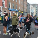 Great Limerick Run 2022. Picture: Olena Oleksienko/ilovelimerick
