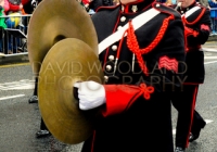 bands-2014-ill-11