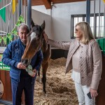 The legendary Limerick horse, Istabraq celebrated his 32nd birthday at Martinstown Stud, on Thursday, May 23, 2024, in celebration of the legacy and mark he left on the worlds of horse racing and the Limerick community. Picture: Olena Oleksienko/ilovelimerick