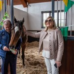 The legendary Limerick horse, Istabraq celebrated his 32nd birthday at Martinstown Stud, on Thursday, May 23, 2024, in celebration of the legacy and mark he left on the worlds of horse racing and the Limerick community. Picture: Olena Oleksienko/ilovelimerick