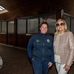 The legendary Limerick horse, Istabraq celebrated his 32nd birthday at Martinstown Stud, on Thursday, May 23, 2024, in celebration of the legacy and mark he left on the worlds of horse racing and the Limerick community. Picture: Olena Oleksienko/ilovelimerick