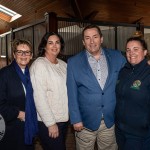 The legendary Limerick horse, Istabraq celebrated his 32nd birthday at Martinstown Stud, on Thursday, May 23, 2024, in celebration of the legacy and mark he left on the worlds of horse racing and the Limerick community. Picture: Olena Oleksienko/ilovelimerick