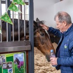 The legendary Limerick horse, Istabraq celebrated his 32nd birthday at Martinstown Stud, on Thursday, May 23, 2024, in celebration of the legacy and mark he left on the worlds of horse racing and the Limerick community. Picture: Olena Oleksienko/ilovelimerick