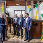 The legendary Limerick horse, Istabraq celebrated his 32nd birthday at Martinstown Stud, on Thursday, May 23, 2024, in celebration of the legacy and mark he left on the worlds of horse racing and the Limerick community. Picture: Olena Oleksienko/ilovelimerick