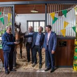 The legendary Limerick horse, Istabraq celebrated his 32nd birthday at Martinstown Stud, on Thursday, May 23, 2024, in celebration of the legacy and mark he left on the worlds of horse racing and the Limerick community. Picture: Olena Oleksienko/ilovelimerick