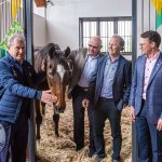 The legendary Limerick horse, Istabraq celebrated his 32nd birthday at Martinstown Stud, on Thursday, May 23, 2024, in celebration of the legacy and mark he left on the worlds of horse racing and the Limerick community. Picture: Olena Oleksienko/ilovelimerick