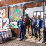 The legendary Limerick horse, Istabraq celebrated his 32nd birthday at Martinstown Stud, on Thursday, May 23, 2024, in celebration of the legacy and mark he left on the worlds of horse racing and the Limerick community. Picture: Olena Oleksienko/ilovelimerick