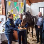 The legendary Limerick horse, Istabraq celebrated his 32nd birthday at Martinstown Stud, on Thursday, May 23, 2024, in celebration of the legacy and mark he left on the worlds of horse racing and the Limerick community. Picture: Olena Oleksienko/ilovelimerick
