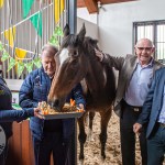 The legendary Limerick horse, Istabraq celebrated his 32nd birthday at Martinstown Stud, on Thursday, May 23, 2024, in celebration of the legacy and mark he left on the worlds of horse racing and the Limerick community. Picture: Olena Oleksienko/ilovelimerick