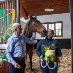 The legendary Limerick horse, Istabraq celebrated his 32nd birthday at Martinstown Stud, on Thursday, May 23, 2024, in celebration of the legacy and mark he left on the worlds of horse racing and the Limerick community. Picture: Olena Oleksienko/ilovelimerick
