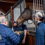 The legendary Limerick horse, Istabraq celebrated his 32nd birthday at Martinstown Stud, on Thursday, May 23, 2024, in celebration of the legacy and mark he left on the worlds of horse racing and the Limerick community. Picture: Olena Oleksienko/ilovelimerick