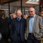 The legendary Limerick horse, Istabraq celebrated his 32nd birthday at Martinstown Stud, on Thursday, May 23, 2024, in celebration of the legacy and mark he left on the worlds of horse racing and the Limerick community. Picture: Olena Oleksienko/ilovelimerick