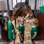 The legendary Limerick horse, Istabraq celebrated his 32nd birthday at Martinstown Stud, on Thursday, May 23, 2024, in celebration of the legacy and mark he left on the worlds of horse racing and the Limerick community. Picture: Olena Oleksienko/ilovelimerick