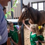The legendary Limerick horse, Istabraq celebrated his 32nd birthday at Martinstown Stud, on Thursday, May 23, 2024, in celebration of the legacy and mark he left on the worlds of horse racing and the Limerick community. Picture: Olena Oleksienko/ilovelimerick
