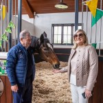 The legendary Limerick horse, Istabraq celebrated his 32nd birthday at Martinstown Stud, on Thursday, May 23, 2024, in celebration of the legacy and mark he left on the worlds of horse racing and the Limerick community. Picture: Olena Oleksienko/ilovelimerick