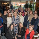 Galway Chamber has announced the appointment of Karen Ronan as new Chief Executive Officer, following her 22 years with Shannon Region Conference and Sports Bureau. Picture: Richard Lynch/ilovelimerick