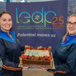 Krups and its impact and legacy on Limerick's social and economic landscape is being remembered with the launch of an exhibition by Limerick Enterprise Development Partnership running until October 25, 2024 at the LEDP campus, Roxborough. Picture: Olena Oleksienko/ilovelimerick