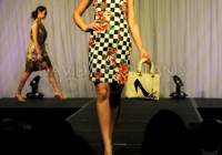Laurel Hill Fashion Show (2014)