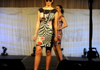 Laurel Hill Fashion Show (2014)