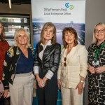 Pictured at the Limerick Enterprise Office Export Event which took place at Engine, Cecil Street on Tuesday, April 29th, 2025. Picture: Olena Oleksienko/ilovelimerick