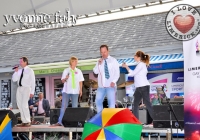 limerick-gay-games-bid-low-114