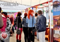 limerick-gay-games-bid-low-122