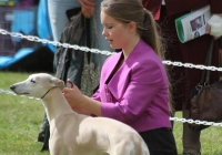 adare_dog_show_2013_13