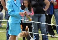 adare_dog_show_2013_14