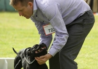 adare_dog_show_2013_16