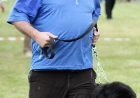 adare_dog_show_2013_19