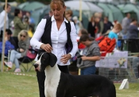 adare_dog_show_2013_25