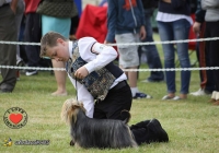 adare_dog_show_2013_3