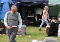 adare_dog_show_2013_32