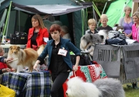 adare_dog_show_2013_33