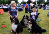 adare_dog_show_2013_34