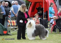 adare_dog_show_2013_35