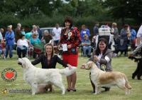 adare_dog_show_2013_38