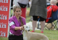 adare_dog_show_2013_4