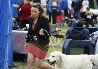 adare_dog_show_2013_42