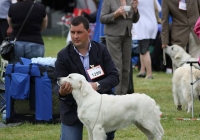 adare_dog_show_2013_43