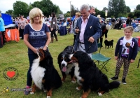 adare_dog_show_2013_45