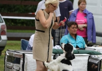 adare_dog_show_2013_50