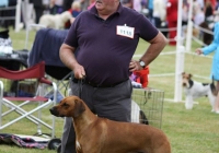 adare_dog_show_2013_53